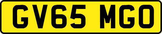 GV65MGO