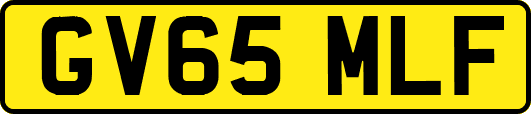 GV65MLF
