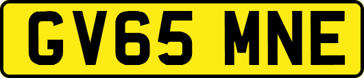 GV65MNE
