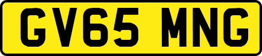GV65MNG