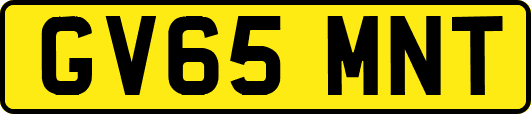 GV65MNT