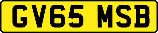 GV65MSB