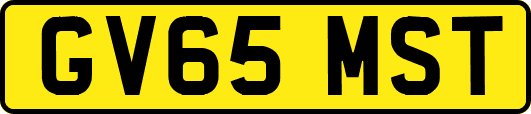 GV65MST