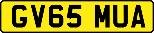 GV65MUA