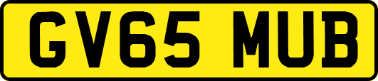 GV65MUB