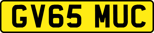 GV65MUC