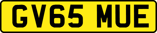 GV65MUE