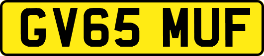 GV65MUF