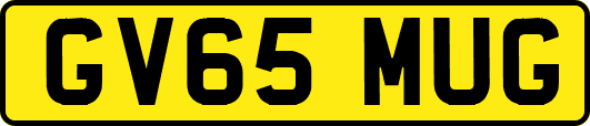 GV65MUG