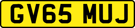 GV65MUJ