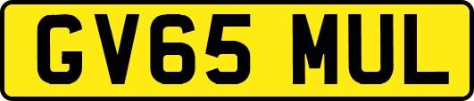 GV65MUL