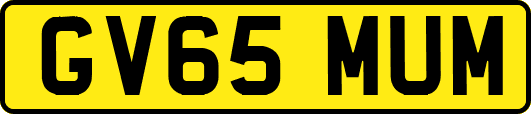 GV65MUM