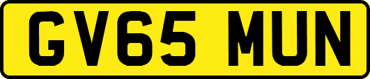 GV65MUN