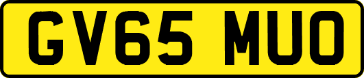 GV65MUO