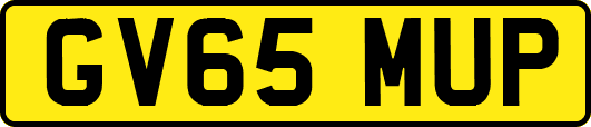 GV65MUP