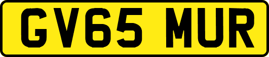 GV65MUR