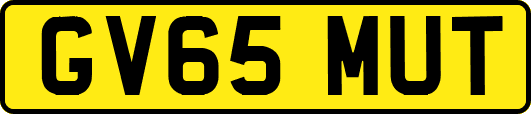 GV65MUT