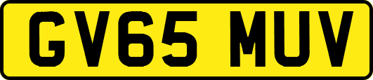 GV65MUV