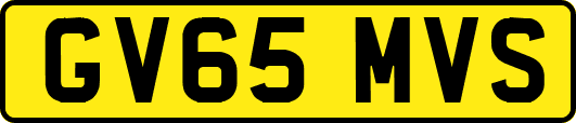 GV65MVS