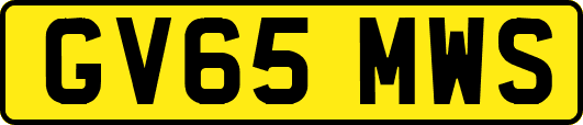GV65MWS
