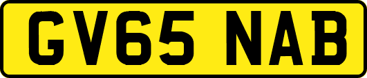 GV65NAB