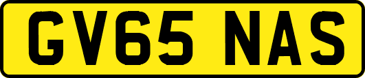 GV65NAS