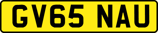 GV65NAU