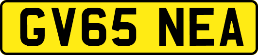 GV65NEA