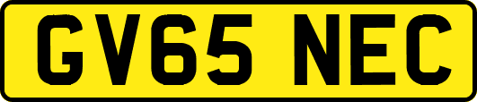 GV65NEC