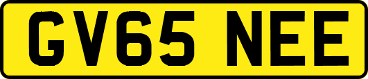 GV65NEE