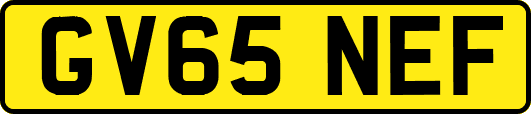 GV65NEF