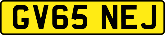 GV65NEJ