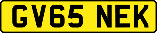 GV65NEK