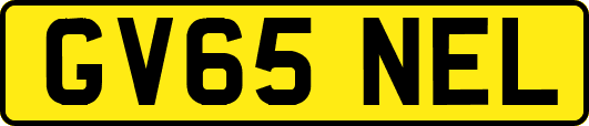 GV65NEL