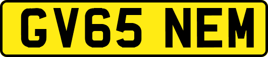 GV65NEM