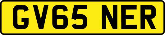 GV65NER