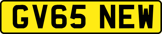 GV65NEW