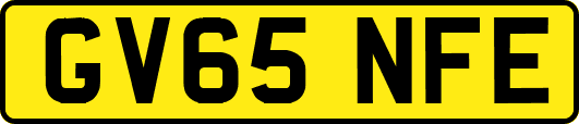 GV65NFE