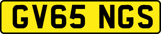 GV65NGS