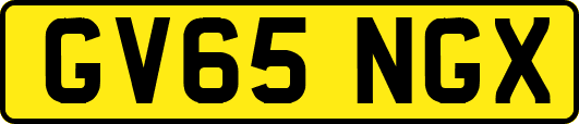 GV65NGX