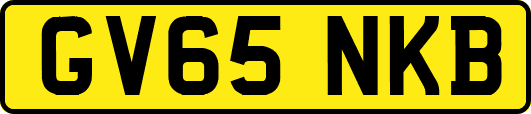 GV65NKB