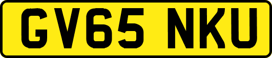 GV65NKU