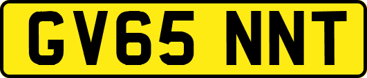 GV65NNT