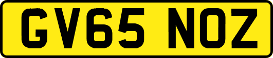 GV65NOZ