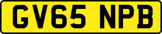 GV65NPB