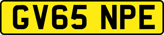 GV65NPE