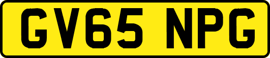 GV65NPG