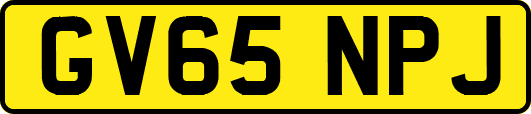 GV65NPJ
