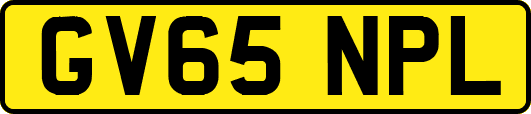 GV65NPL