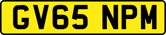 GV65NPM